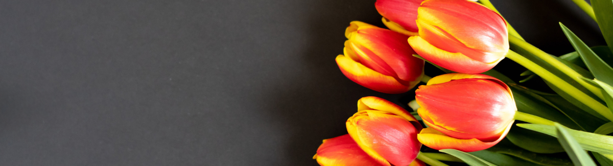 wielkanocne kolorowe jajeczka